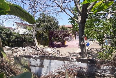 Teren foarte bun pentru construcție casă în Voluntari Teren foarte bun pentru construcție casă în Voluntari - 19