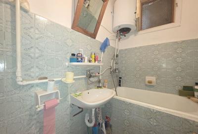 Duplex cu 3 camere cu Canalizare în Viforâta - 19