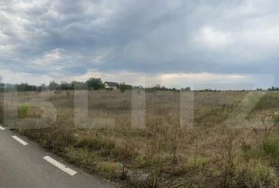 Teren intravilan/extravilan, 1500 mp, Cazaci - 2