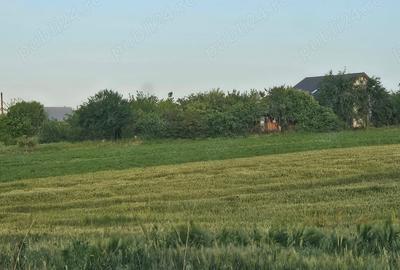 Teren de 11860 mp, în Călugăreni - 1