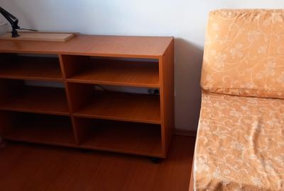 Doamna Ghica, Ion Berindei - 2