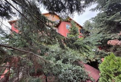 Cladire 30 camere Hotel Clinica Spital Azil Plumbuita Colentina - 3