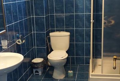Casă cu 9 camere în Valea Mare - 4