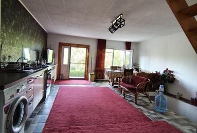 Casa particulara 9 camere, suprafata utila 460mp, comuna Frumusani, Curte 3400mp - 21