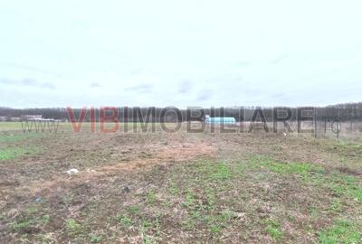 Snagov - Ghermanesti - 9247 mp teren intravilan - deschidere 33 ml - langa padur - 2