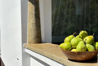 Inchiriez casa in Rasnov - 3