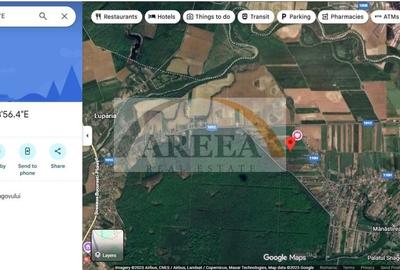 De vanzare - TEREN construcții 700 mp - lizieră - Siliștea Snagovului - 3