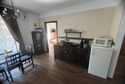 Apartament de vacanță pârtia CLĂBUCET - 2
