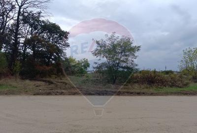 Teren 2,501mp Ghermanesti / Strada Milcov - 4