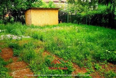 Teren in Campina--200mp-- 32.000e - 3