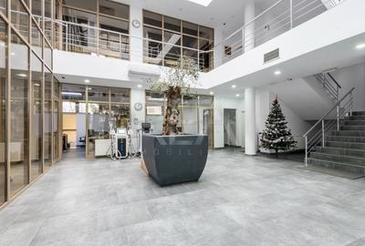 Hale depozitare/productie + Cladire de birouri | Teren 4213 m.p. | Tunari - 39