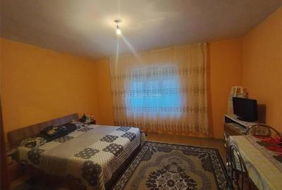 Sadova Veche, Casa la curte + Teren - 14