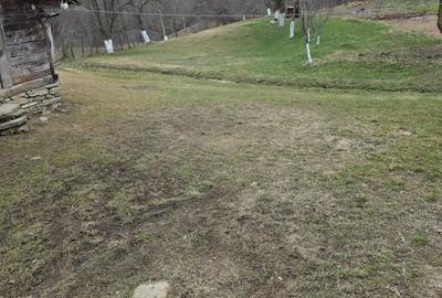 Casă cu 2 camere în Bătrâni - 5