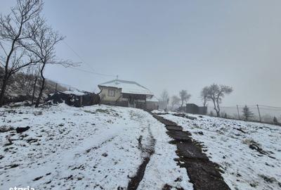 Casă cu 2 camere cu Teren 5135 Mp în Dobreni - 12