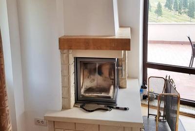 Vila de vanzare in Ranca, la baza partiei Papusa  sauna, jacuzzi - 27