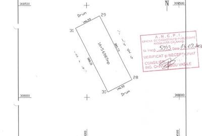 Teren agricol extravilan de 56987 mp, în Frumușani - 1