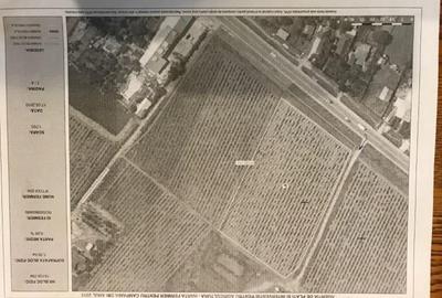 Teren de vanzre in Pitesti 53.000 mp + Conac Boieresc - 1