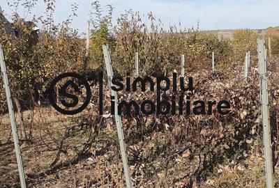 Casa Bradesti, teren 1239 mp - 29 995 Euro - 2