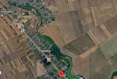 Teren de 4990 mp, în Frumușani