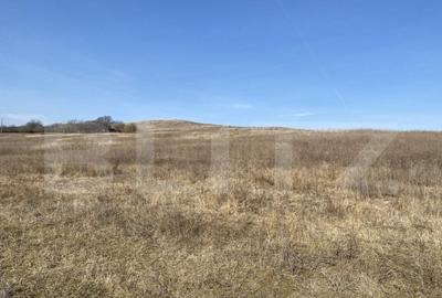 Teren extravilan in suprafata de 140551 mp in loc. Recea - 13