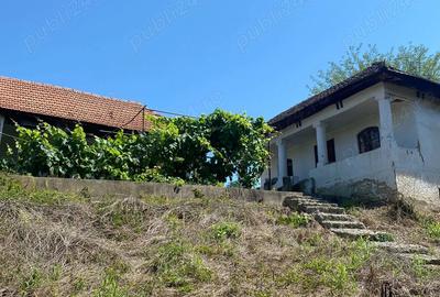 Teren + casa Hinova - 6