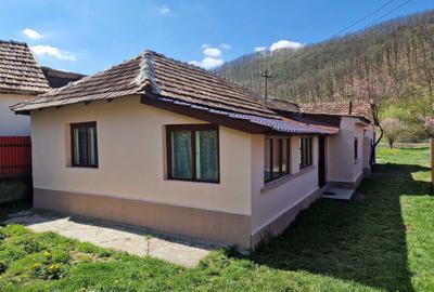 Casă cu 2 camere în Leșnic - 1