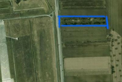 Teren de 6400 mp, în Cristian - 2