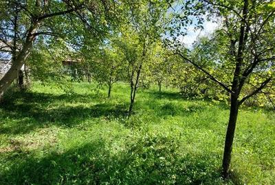 Casă în Frâncești - 4