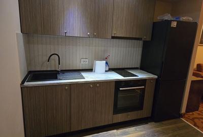De inchiriat apartament cu 2 camere , Rin Grand Residence - 7