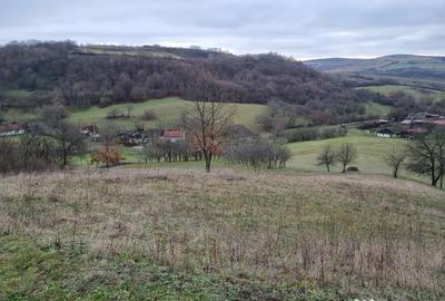 Teren de 67000 mp, în Orbău - 5