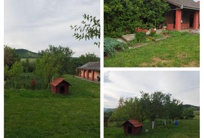 Casă cu 7 camere cu Teren 9800 Mp în Șintereag - 3