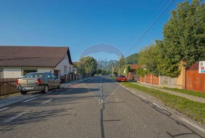 Teren intravilan 7.255?mp +casa rustica ideal pen... - 16