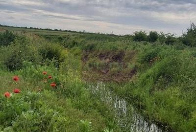 Teren în Corbeanca - 1
