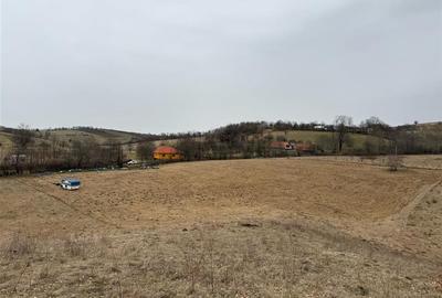 Teren Construcții intravilan de 17265 mp, în Vadu Crișului