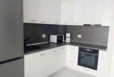 Apartament cu 2 camere, mobilat în Seleuș - 12