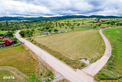 Spațiu comercial, în Valea Crișului - 2