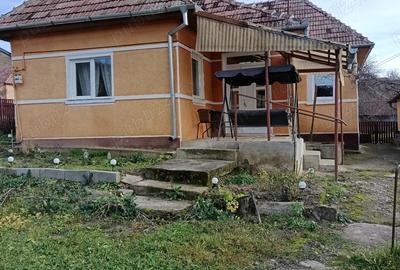 Vand casa plus teren - 3