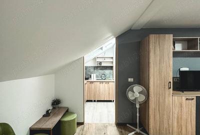 Ofer spre inchiriere STUDIO Modern si Primitor la Casa - 5