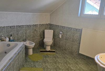 Vand proprietate in Deva. zona Ceangai, compusa din 2 case de locuit, Vand proprietate in Deva. zona Ceangai, compusa din 2 case de locuit, - 12