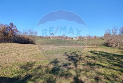 Casa / Vila cu 2 camere de vanzare Casa / Vila cu 2 camere de vanzare - 1