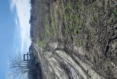 Teren de 500 mp, în Boreal - 1