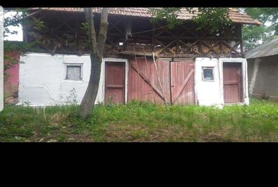 Casă cu 6 camere cu Teren 4000 Mp în Petrești - 4