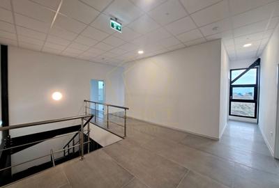 COM 0% Hala servicii,  birouri, depozitoare la prima inchiriere | Giarmata-Vii - 11