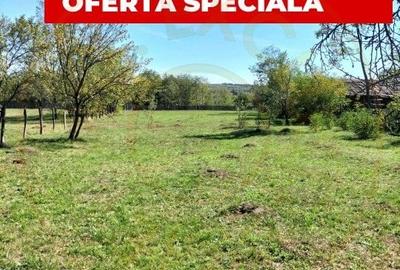 Teren Construcții intravilan de 2542 mp, în Berevoești