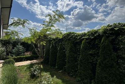 Casa situata intr-o zona linistita, in Dumbravita. Casa situata intr-o zona linistita, in Dumbravita. - 22