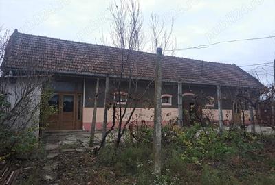 Teren de 5610 mp, în Șimand - 1