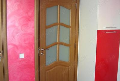 Apartament cu 2 camere decomandat în Turnișor - 4