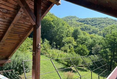 Casa batraneasca renovata Baile Olanesti, Valcea, sat Cheia - 9