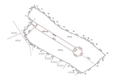 Teren de vanzare 4.500 mp  Predelut, Bran! Ideal pentru case de vacanta, glampi - 3