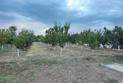 Casă cu Teren 1000 Mp în Silistraru - 1